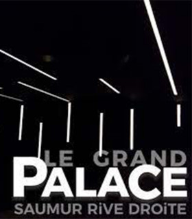LE GRAND PALACE SAUMUR - E-Chèque Cinéma 1 séance standard normale jusqu'au 24/03/2026