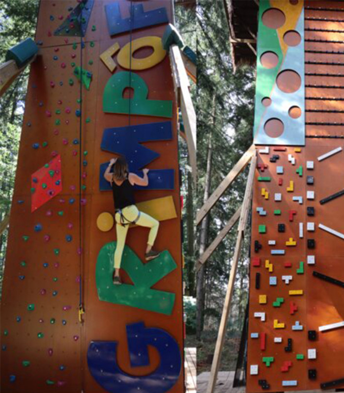 E-billet 1 Entrée Accrobranche Junior 7 à 10 ans ACROFOREST