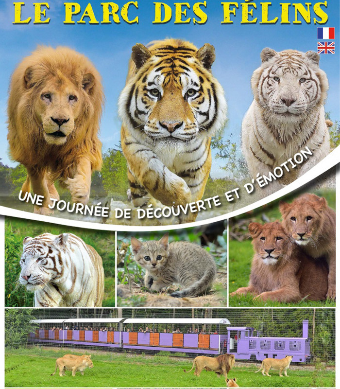 E-billet 1 Jour Enfant de 3 à 10 ans inclus LUMIGNY SAFARI RESERVE