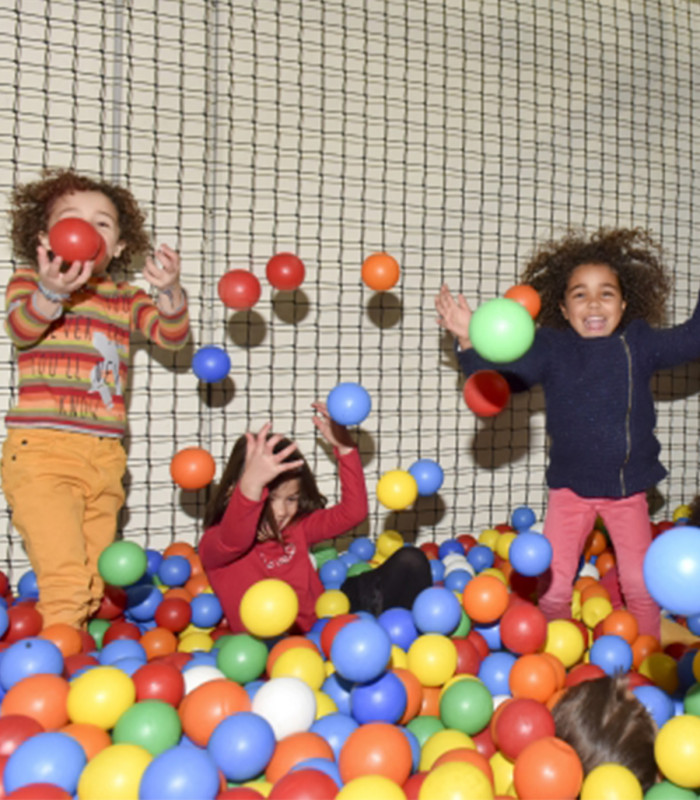 E-Billet 1 Entrée dès 3 ans GULLI PARC TOULOUSE LOMME VENDEVILLE