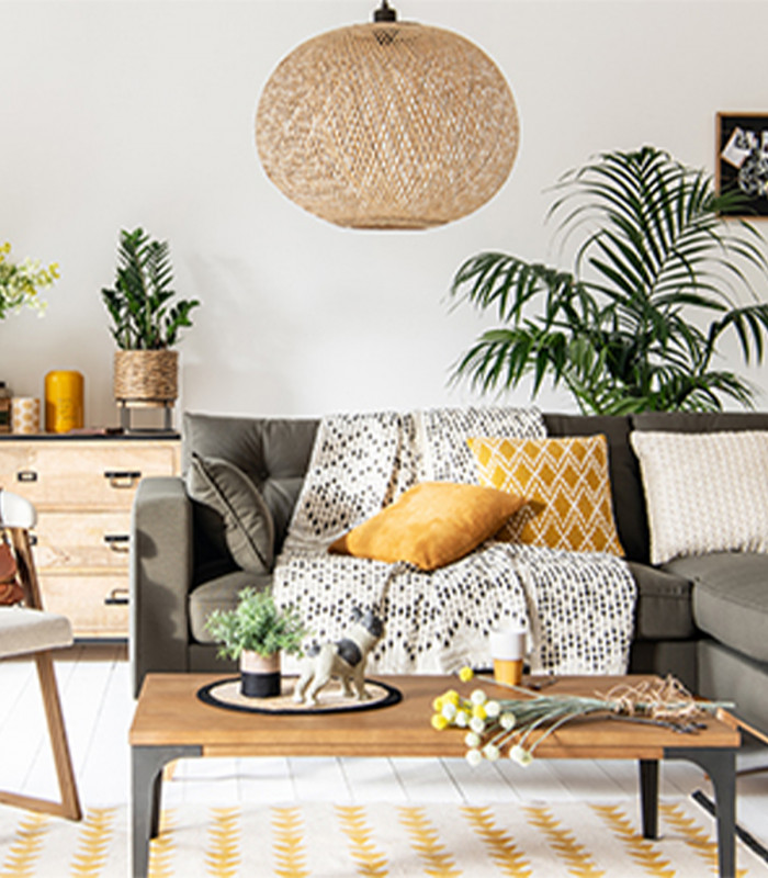 E-carte Cadeau Maisons du Monde 250€ Valable jusqu'au 24/09/2026