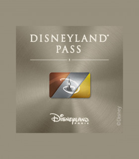 E-Pass Silver Adulte (300 jours d'accès/an) 2 Parcs DISNEYLAND PARIS