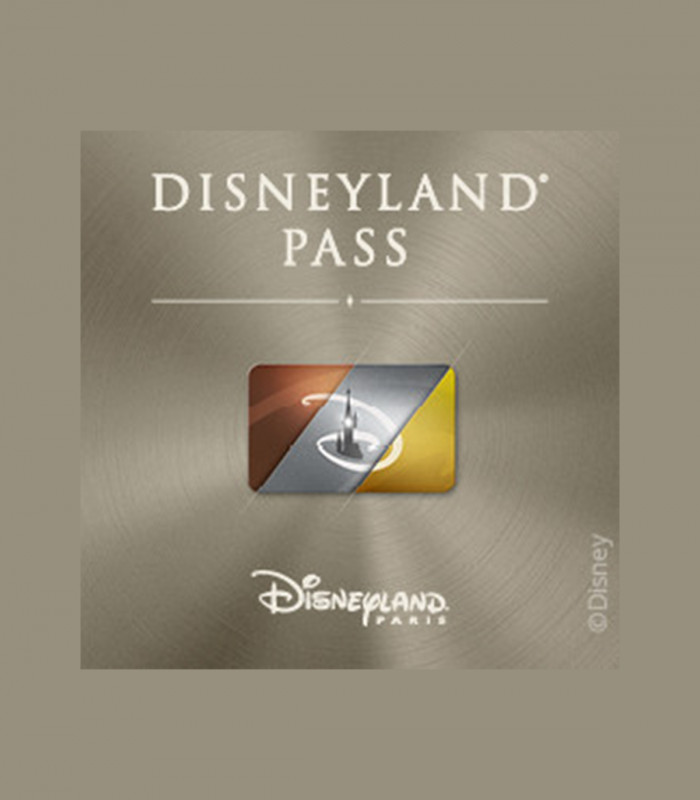 E-Pass Gold Adulte (365 jours d'accès/an) 2 Parcs DISNEYLAND PARIS
