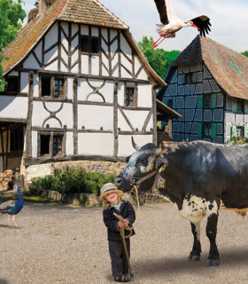 E-billet 1 Visite Enfant de 4 à 17 ans inclus ECOMUSEE D'ALSACE