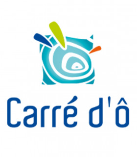 E-billet 1 Entrée Tarif Unique PISCINE CARRE D'Ô