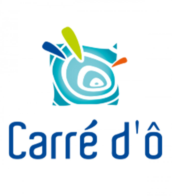 E-billet 1 Entrée Tarif Unique PISCINE CARRE D'Ô