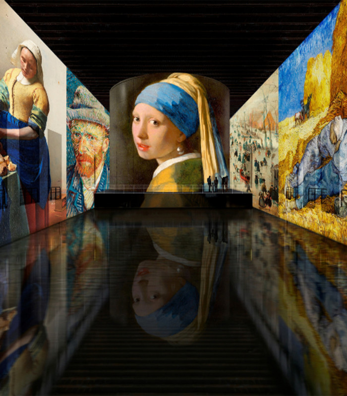 E-billet 1 Visite Adulte à partir de 26 ans BASSINS DES LUMIERES