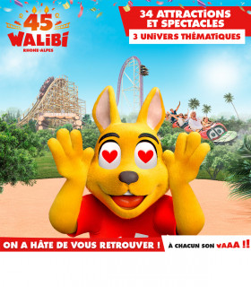 E-PASS SAISON 2025 WALIBI RHONE ALPES Tarif Unique Adulte OU Enfant