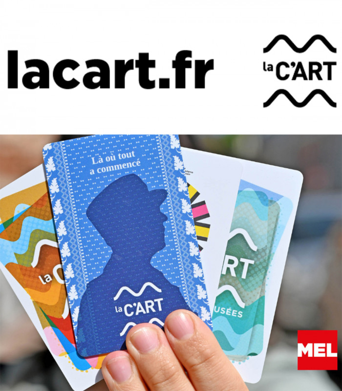 E-billet Pass 1 An Solo LA C'ART LILLE METROPOLE
