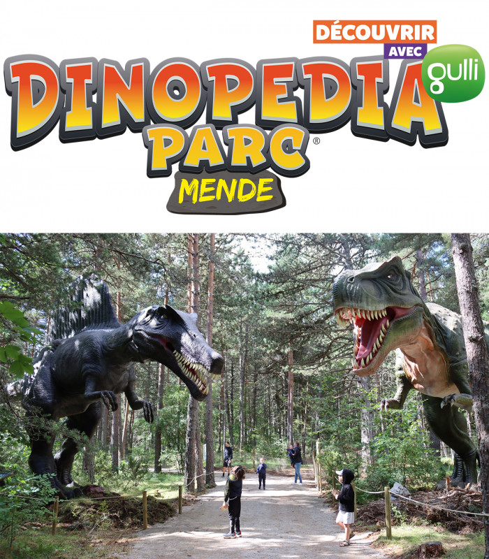 E-Billet Adulte à partir de 16 ans 1 Jour DINOPEDIA PARC LOZERE