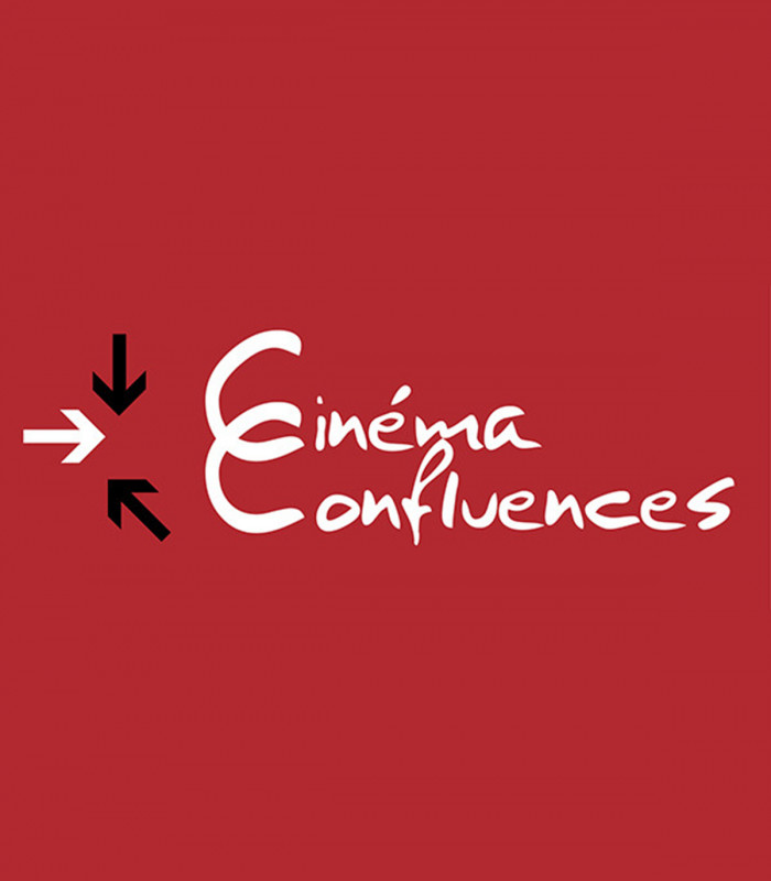 CINEMAS CONFLUENCES - E-Billet 1 séance standard normale valable jusqu'au 13/07/2026