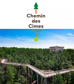 E-billet 1 Visite Enfant (6 à 14 ans) au CHEMIN DES CIMES en Alsace