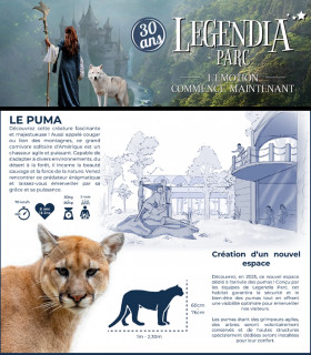 E-Billet Enfant 3 à 12 ans 1 Jour Vert 2025 LEGENDIA PARC