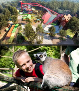 E-Billet 1 Jour Saison 2025 BELLEWAERDE PARK Tarif Unique