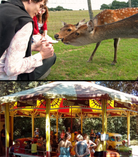 E-Billet Adulte + de 11 ans PARC DE LA COUERE