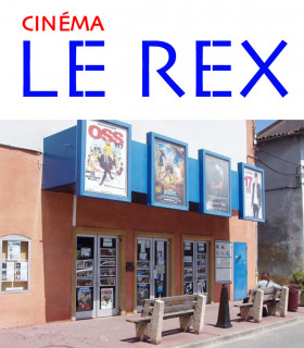 CINEMA REX PAMIERS - E-billet 1 séance standard normale jusqu'au 16/07/2026