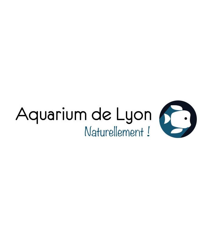 E-Billet 1 Jour Adulte à partir de 11 ans AQUARIUM de Lyon