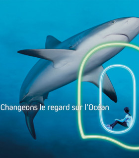 E-BILLET 1 Jour Pavillon Bretagne Adulte dès 18 ans OCEANOPOLIS Brest