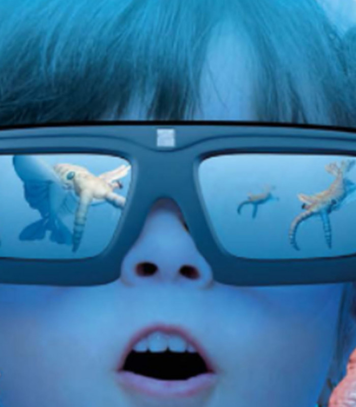 E-BILLET 1 Jour Pavillon Bretagne Enfant 3 à 17 ans OCEANOPOLIS Brest