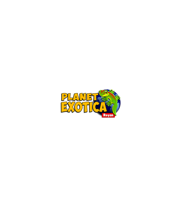 E-billet Adulte à partir de 13 ans 1 Jour Basse Saison PLANET EXOTICA